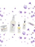 Defiant Beauty Intensive Serum face JY shop at My Headwear, specilised in chemo hats and cosmetics